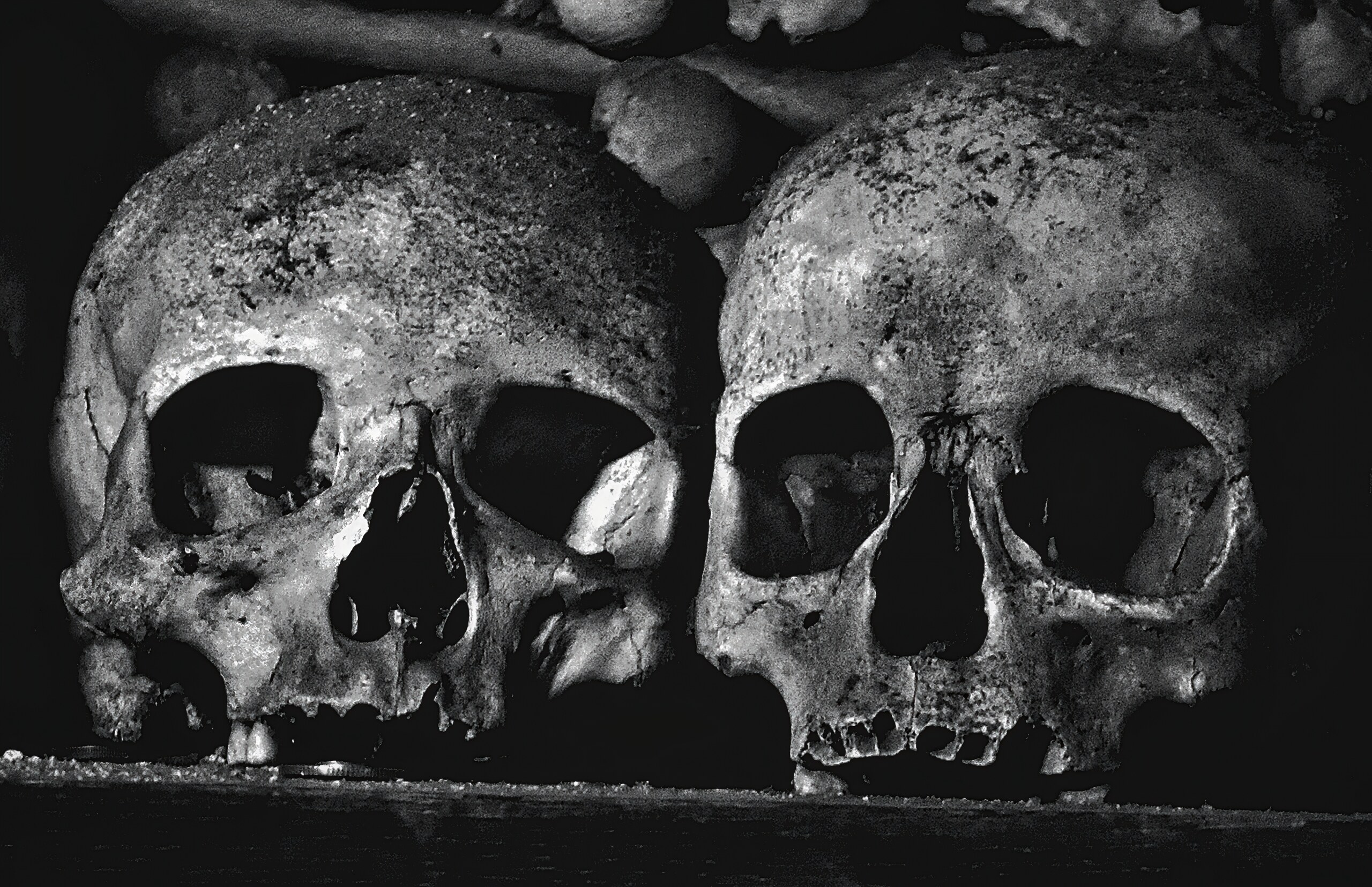 Two human skulls side by side on a dark ledge.