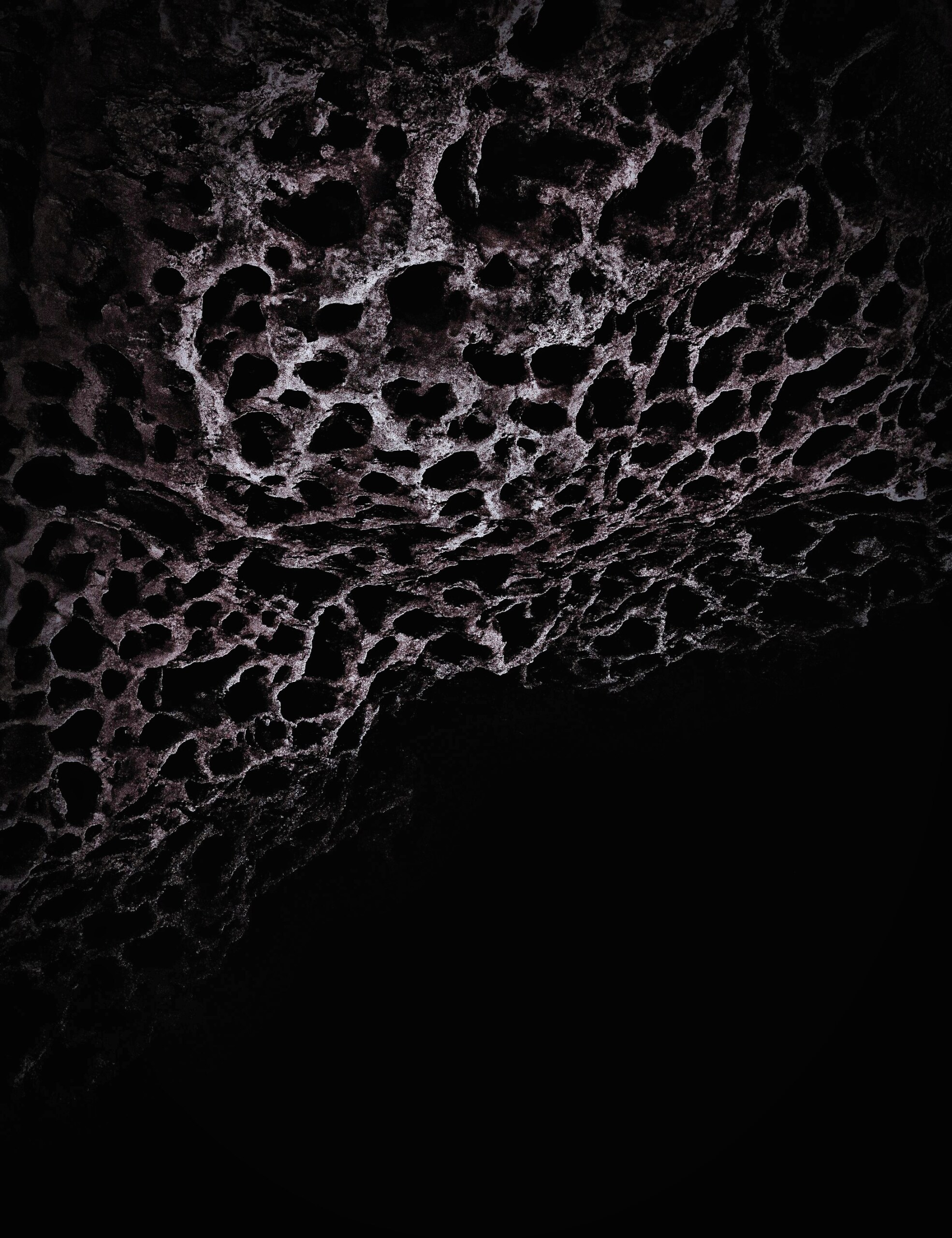 Rock pitted with honeycomb-like hollows, fading into black.